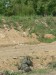 P1220743_1.JPG