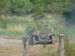 P1220698_1.JPG